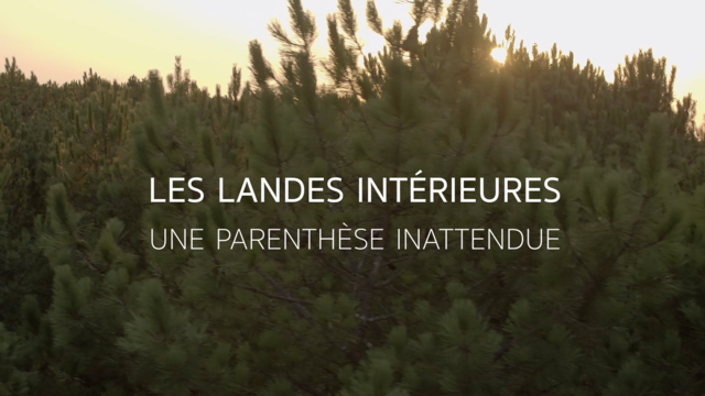 Les Landes Intérieures, une parenthèse inattendue 